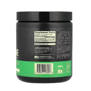 Optimum Nutrition Micronized Creatine Powder 300 g back
