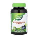 Natural Factors Ashwagandha - Stress & Energy Support | iFit Egypt